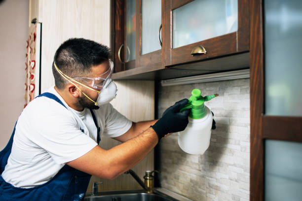 Best Mosquito Control Services  in Green Forest, AR