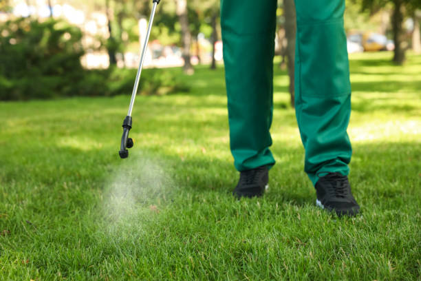 Best Pest Control for Businesses  in Green Forest, AR