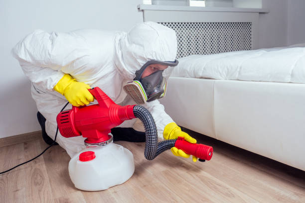 Best Cockroach Control Services  in Green Forest, AR