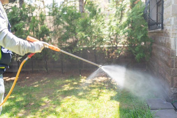 Best Affordable Pest Control Services  in Green Forest, AR