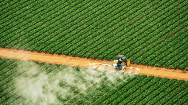 Pest Control for Restaurants in Green Forest, AR