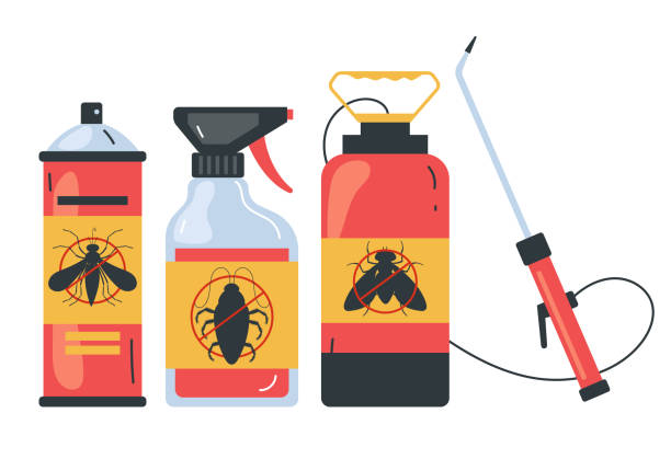 Trusted Green Forest, AR Pest Control Experts