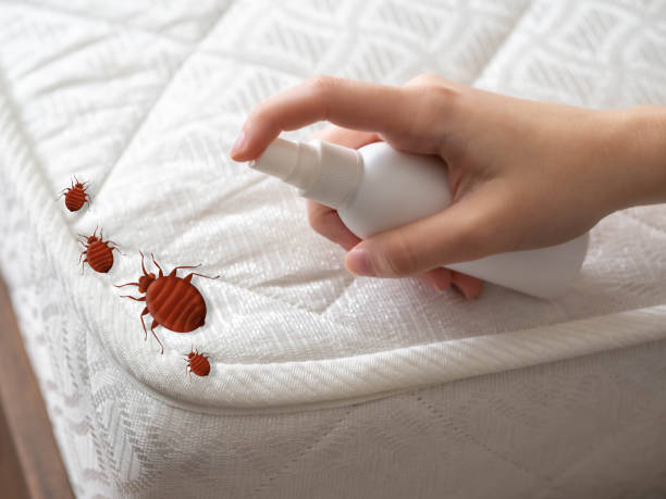 Best Pest Inspection Near Me  in Green Forest, AR